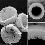 Filtro de Água Portátil L630 - Miniwell [Camping - Hidratação - Filtro] 01 - Filtro de Água Portátil L630 - Miniwell Pescamping 